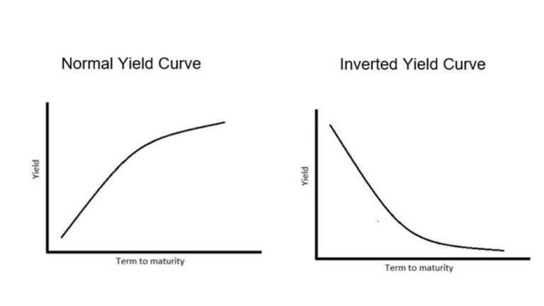 What Can We Learn from the Inverted Yield Curve Craze?